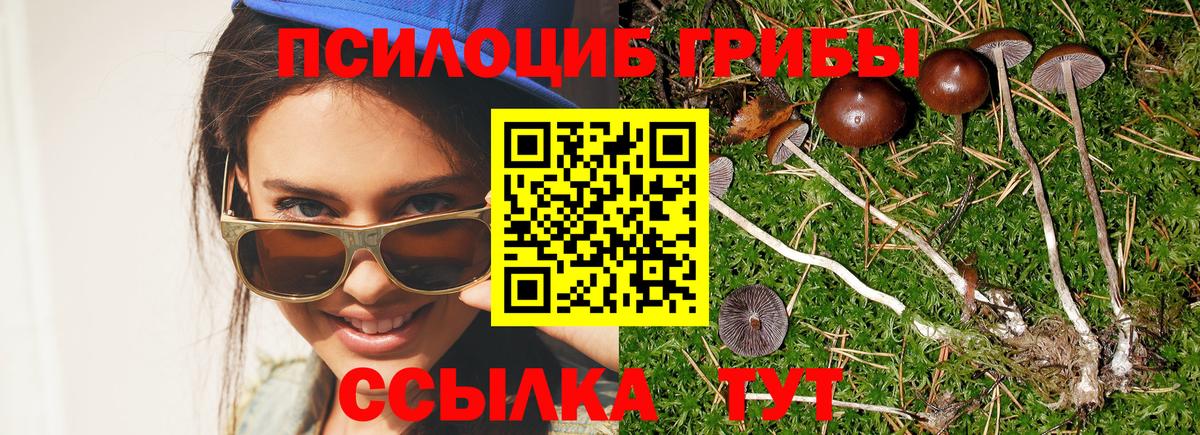 Галлюциногенные грибы Magic Shrooms  Вход с VPN  Алексин 
